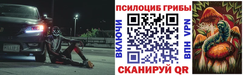 Псилоцибиновые грибы Psilocybe  Белёв 